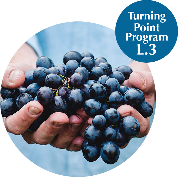 foto de manos sujetando un racimo de uvas Turning Point Program L.3